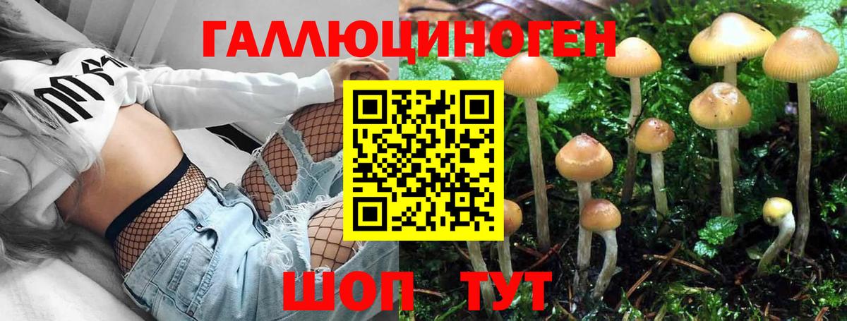 Галлюциногенные грибы мицелий Бахчисарай