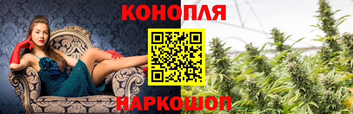 Бошки Шишки ГИДРОПОН Бахчисарай